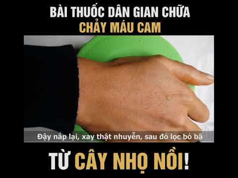 BÀI THUỐC ĐÔNG Y HLI HUYẾT NHIỆT CHỮA DỨT ĐIỂM BỆNH CHẢY MÁU CAM