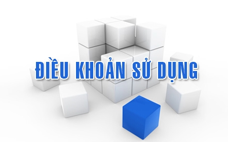 ĐIỀU KHOẢN SỬ DỤNG WEBSITE HLIpharma.com