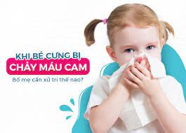 HẾT CHẢY MÁU CAM TẠI NHÀ CHỈ SAU 2 NGÀY NHỜ BÀI THUỐC THẢO DƯỢC CỔ PHƯƠNG