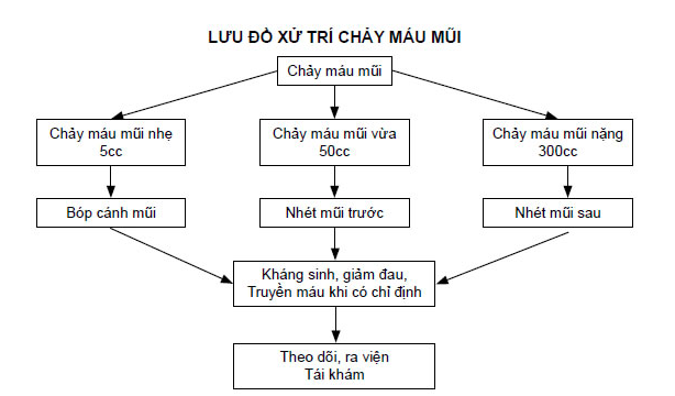 Nguyên tắc điều trị bệnh chảy máu cam và những xử lý bắt buộc phải biết